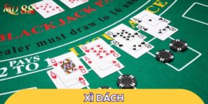 Những điều cơ bản cần biết về Xì Dách
